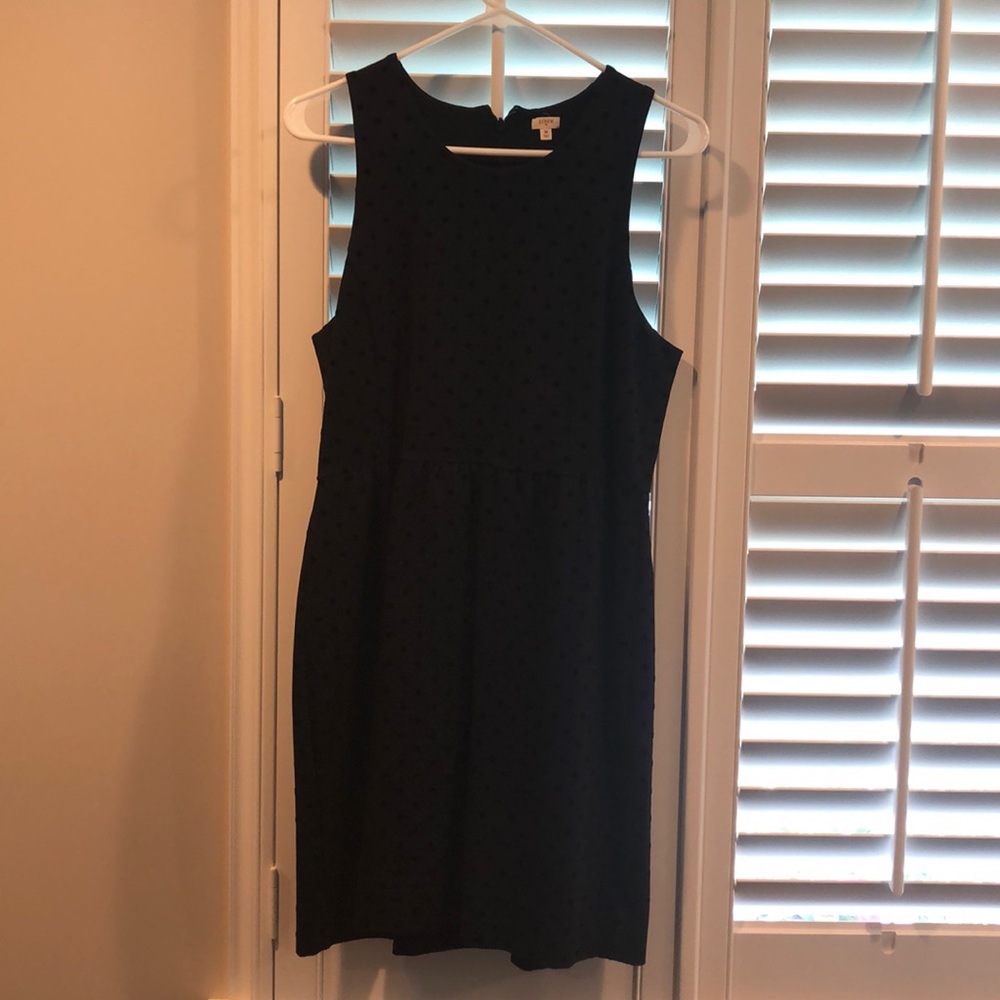 J crew polka dot dress